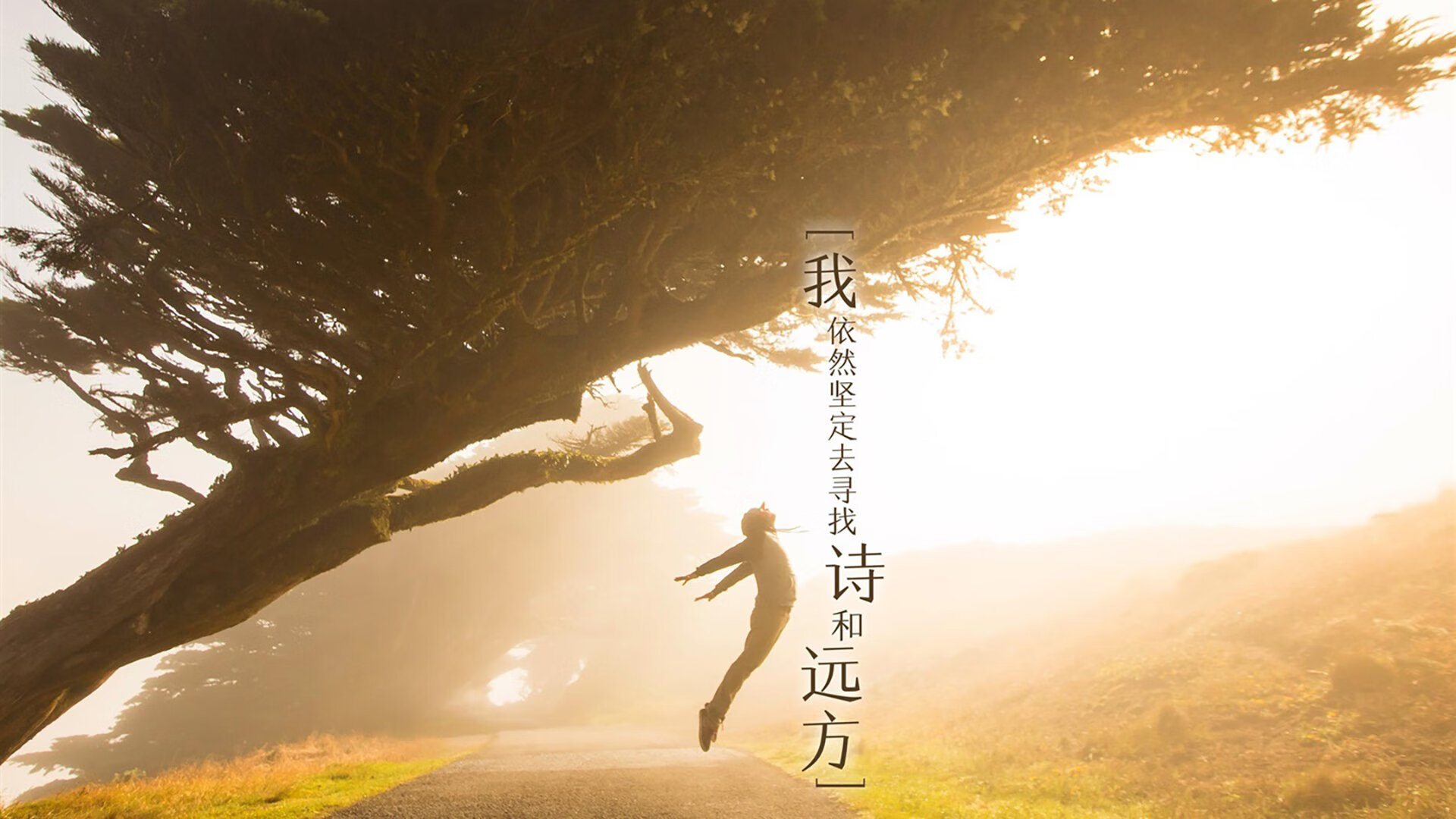 众星云集:本年度联盟中的最大“星球”是谁?,英雄联盟众星之主