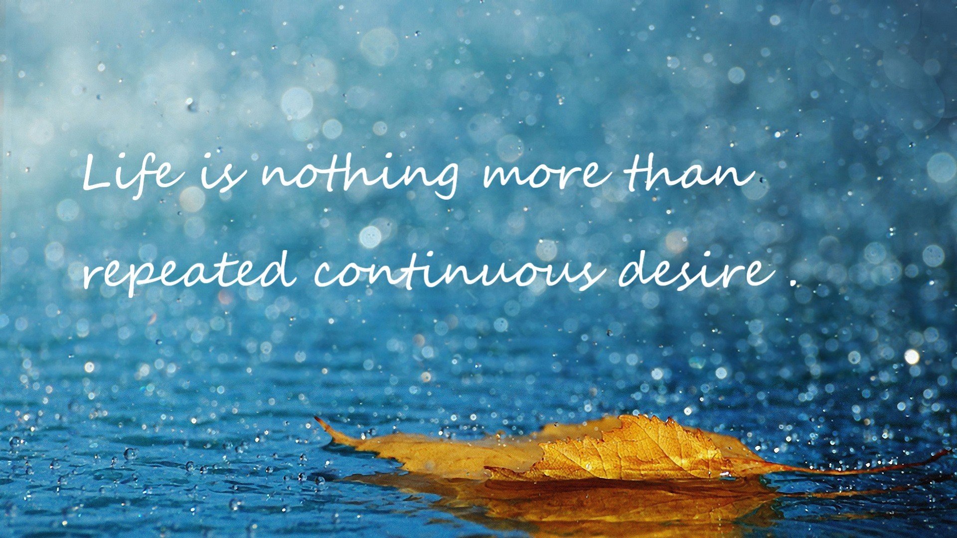 传统摔跤节:古老技艺的现代传承,摔跤 表演