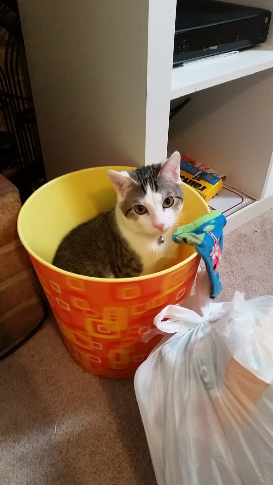 开云官网APP下载-全明星周末活动安排曝光，球迷期待，全明星周末什么时候开始