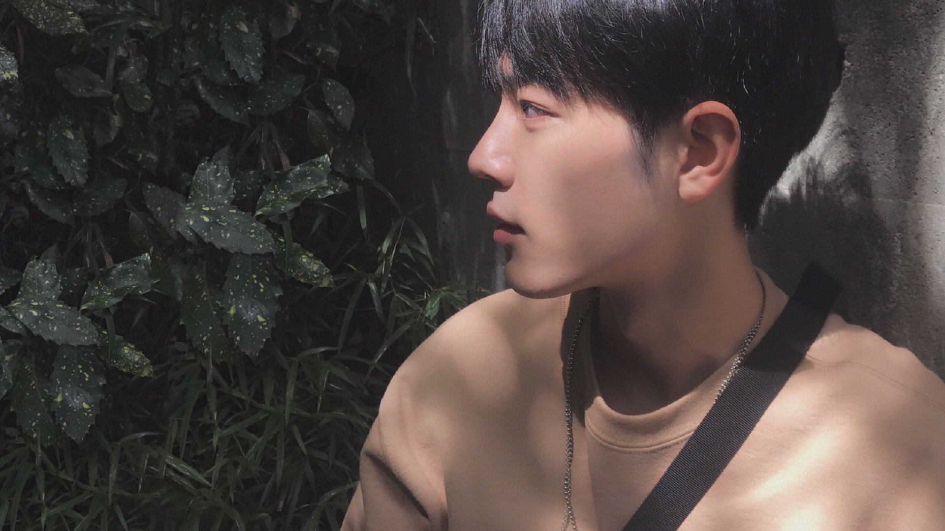 守望先锋 战队新星崭露头角，守望先锋最新阵容